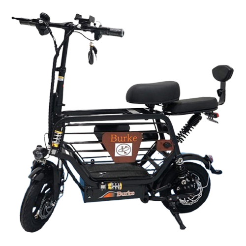 Xe Máy Điện Burke Cũ